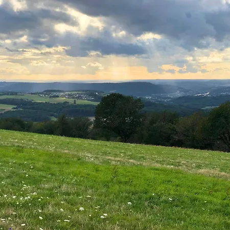 In Near Trier & Nature Park * Pellingen